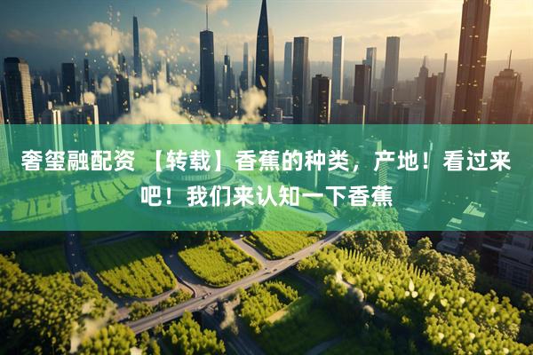 奢玺融配资 【转载】香蕉的种类，产地！看过来吧！我们来认知一下香蕉