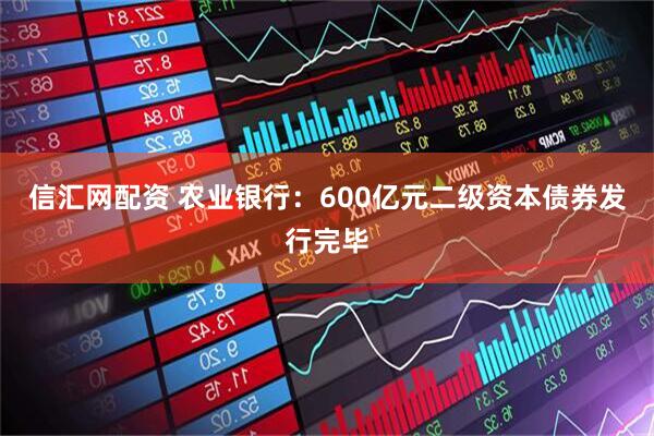 信汇网配资 农业银行：600亿元二级资本债券发行完毕